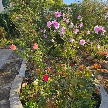 Mari Apartman Supetar