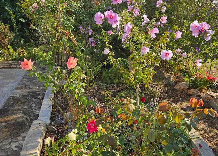 Mari Apartman Supetar